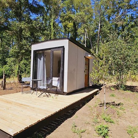 Ketrawe Lodge Pucón المظهر الخارجي الصورة